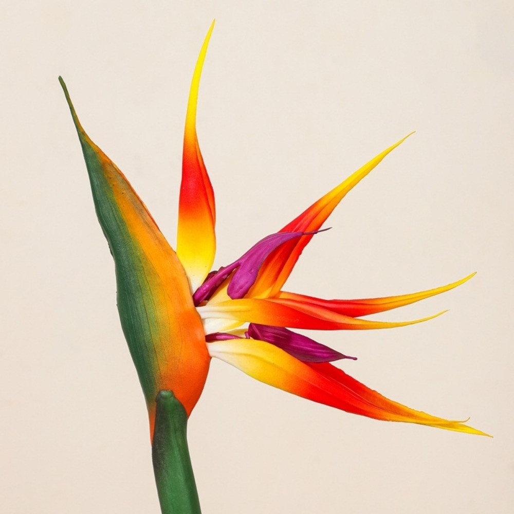 New Long Stem Artificial Bird  - Bird Paradise Strelitzia recension och pris