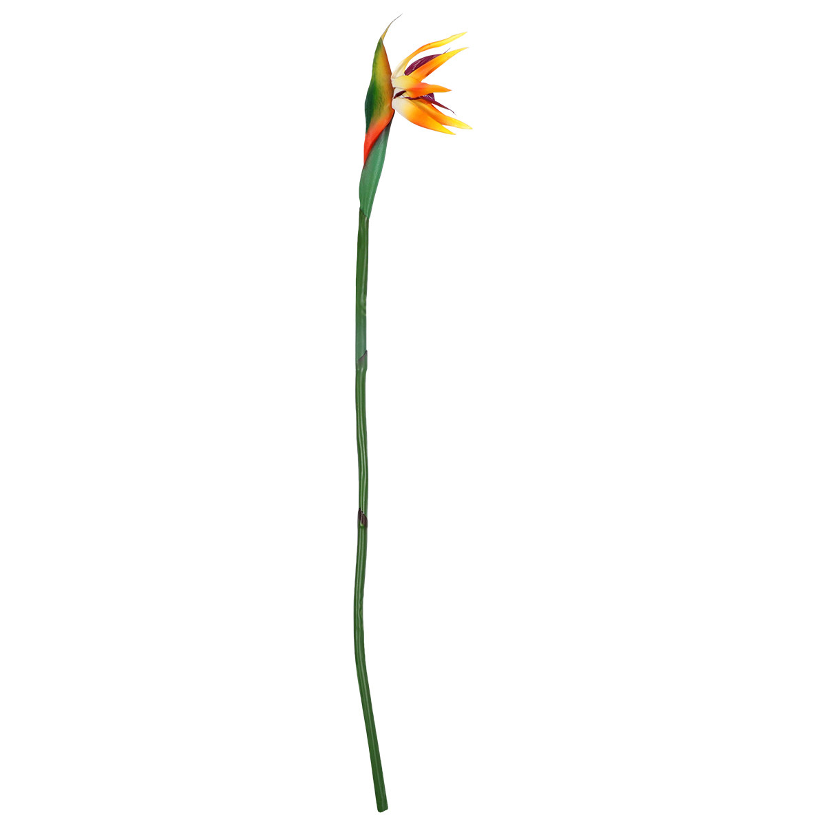 Real Touch Faux Strelitzia Flo - Bird Paradise Strelitzia recension och pris