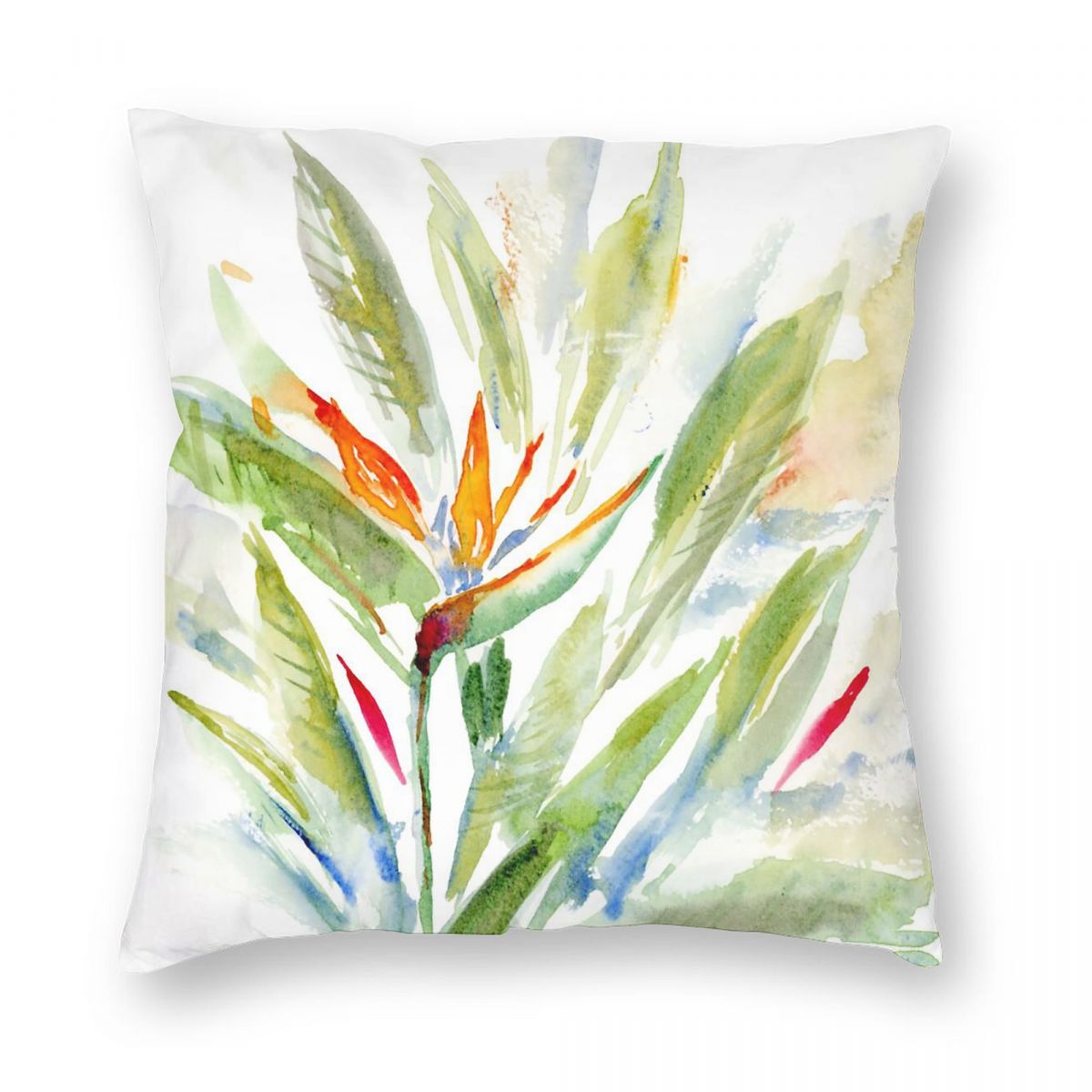 Bird Of Paradise Strelitzia Sq - Bird Paradise Strelitzia recension och pris